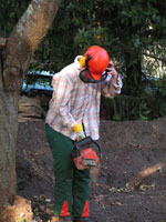 klick mich gro&szlig;